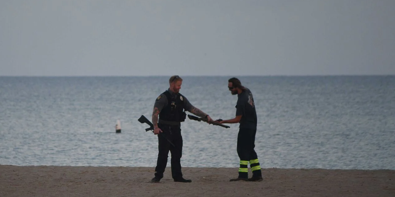 Lewes Beach Guns